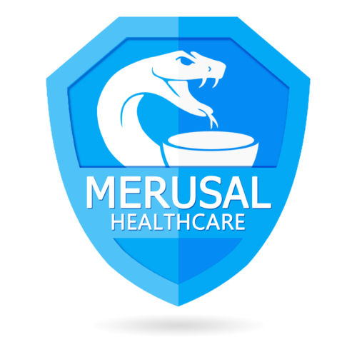 MERUSAL Logo 2023